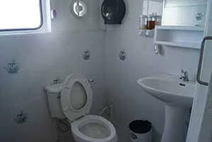 view of the bathroom/toilet